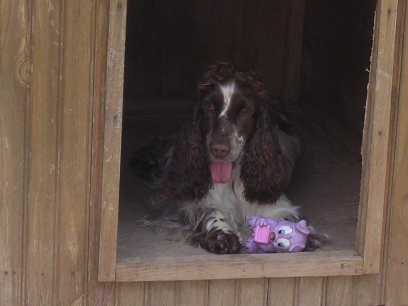 Abby du Moulin de L'Archat