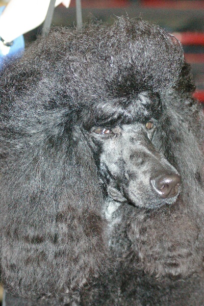 Ebene de Chamberande